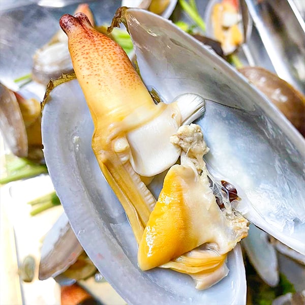 Tu hài