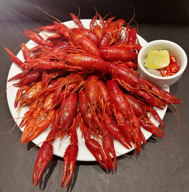 Tôm hùm đất Crawfish