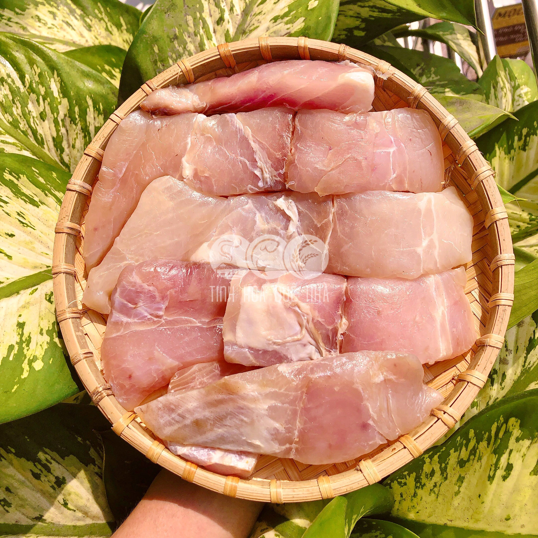 Cá bò một nắng