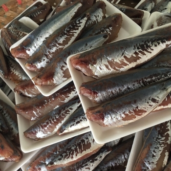 Cá nục một nắng