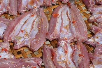 Cá lóc một nắng
