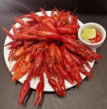 Tôm hùm đất Crawfish